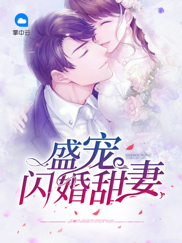 盛宠闪婚甜妻李柒玥夜岂陌