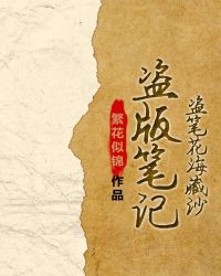 盗版笔记（盗笔花海藏沙）