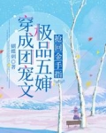 穿成团宠文极品五婶，抢回金手指