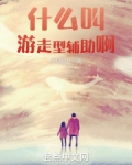 什么叫游走型辅助啊