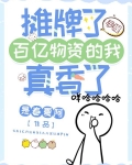 摊牌了，手握百亿物资的我真香了