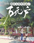 空间：我在七零年代成了万元户