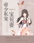 帝少私宠宝贝妻