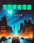 茫茫黑夜漫游