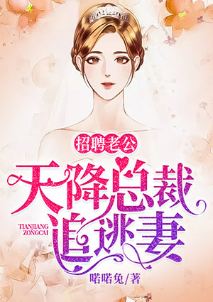 招聘老公：天降总裁追逃妻